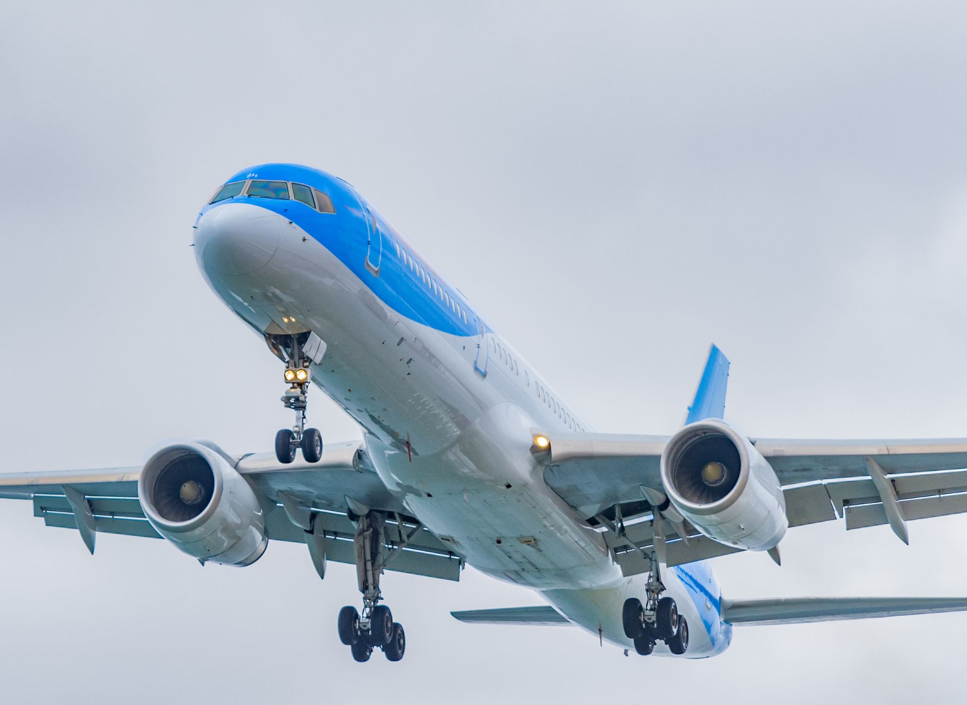 Airbus A321 Neo, LR and XLR Air Charter | Artheau Aviation
